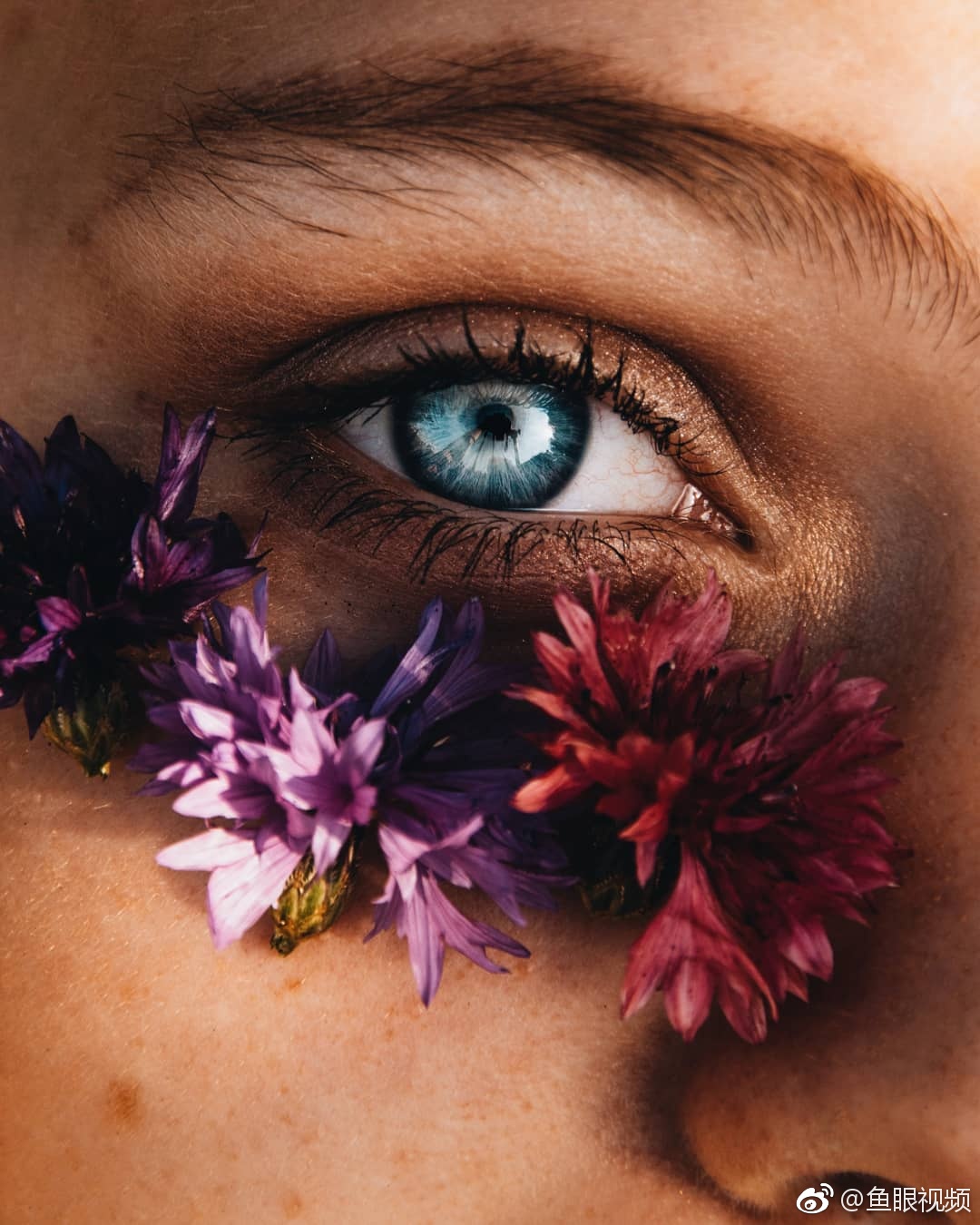 她的眼睛是蔚蓝色的,像最深的湖水