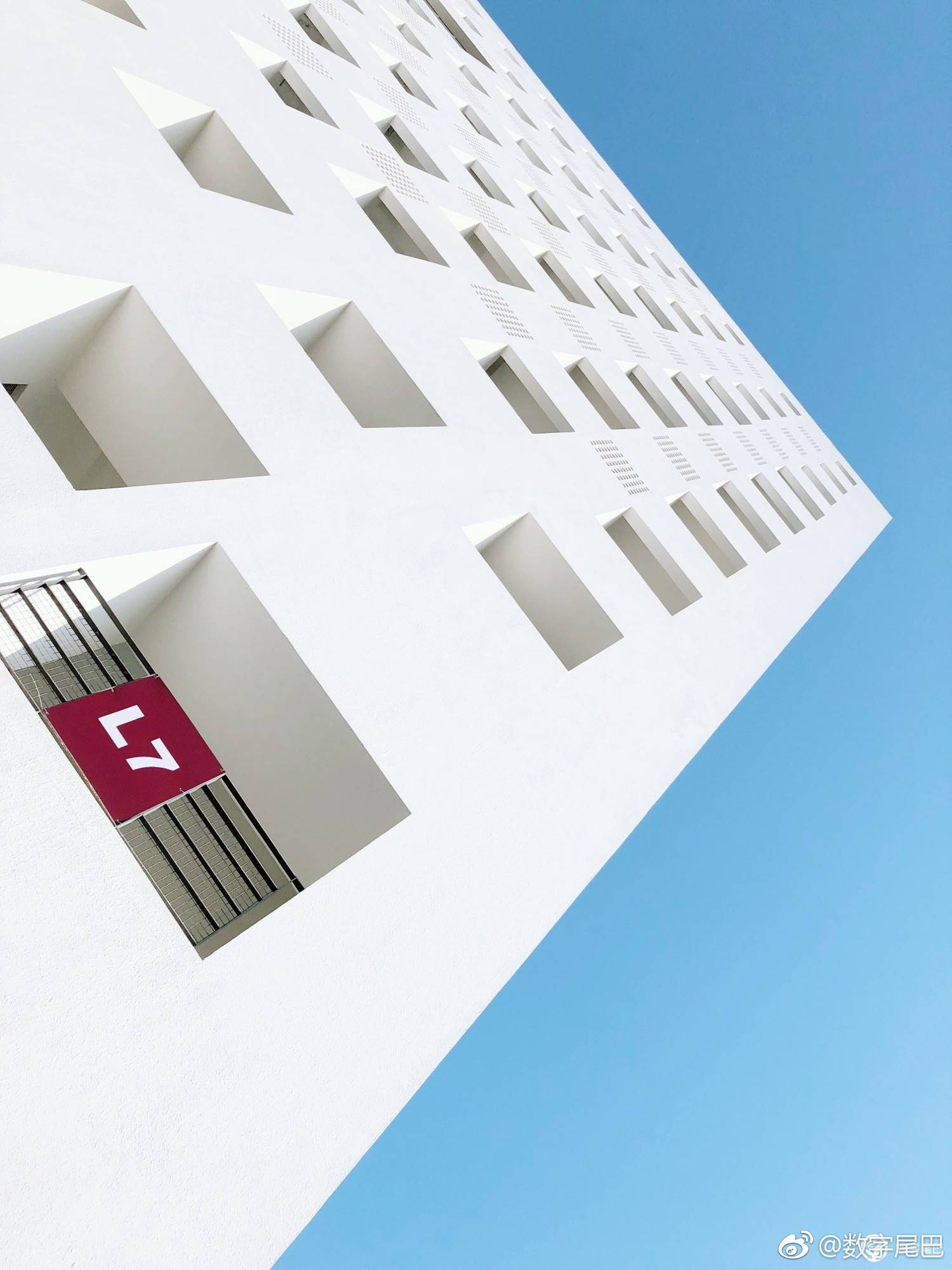 照片分享:深圳大学南校区,有深大的尾巴吗图片来自兴趣小组