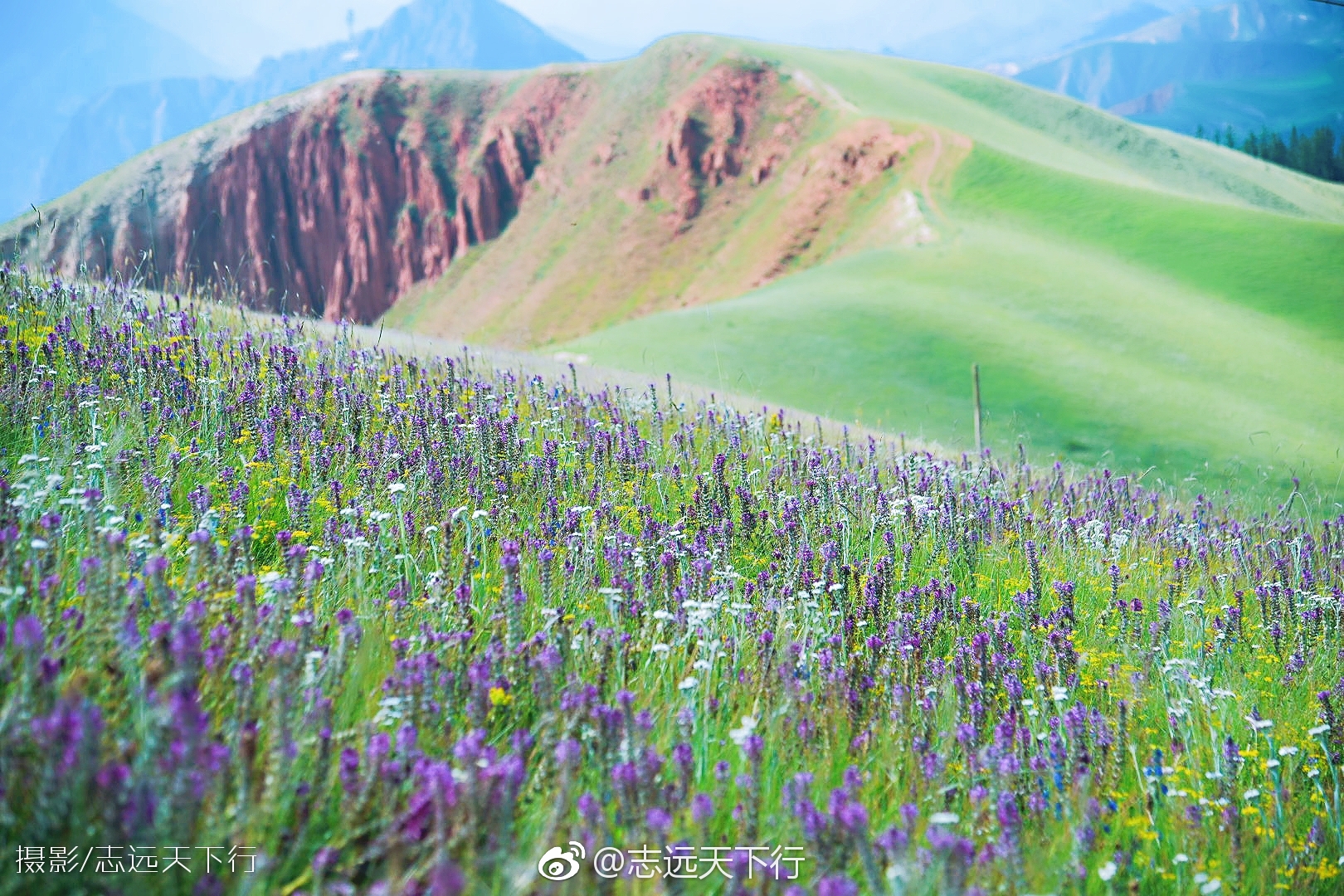 天境祁连——卓尔山的美,绝不是几张照片可以体现的。|卓尔山|祁连_新浪新闻