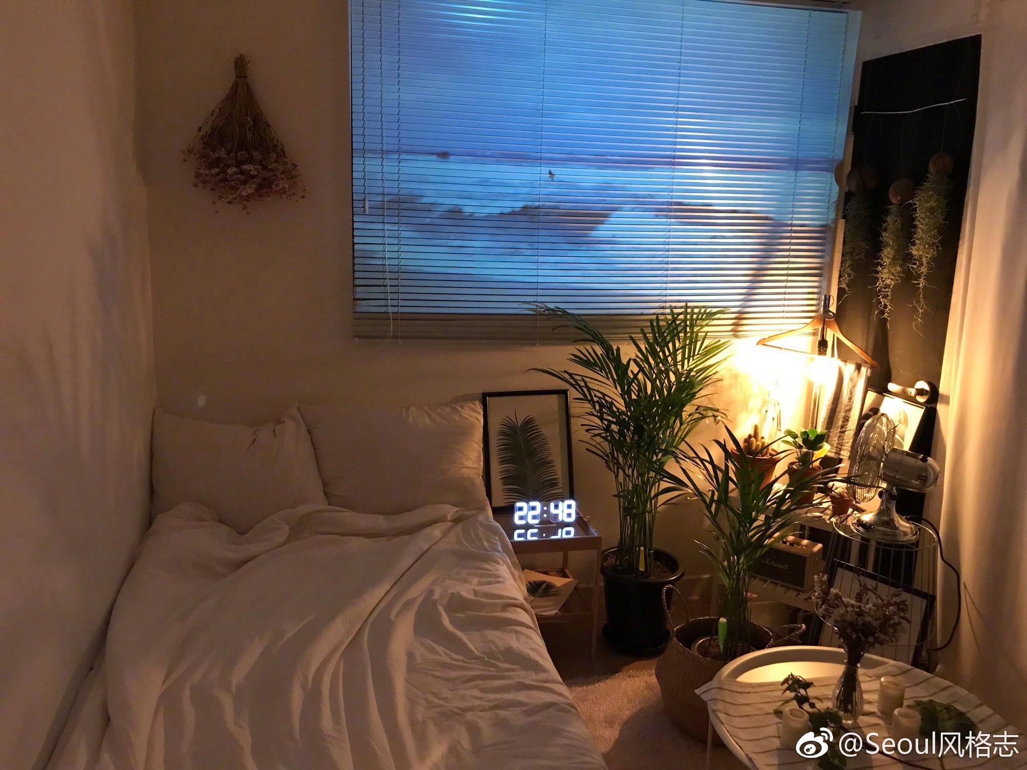 用绿植做为点睛之笔，增添房间的健康气息。|绿植|气息|房间_新浪新闻