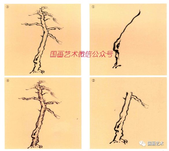 图文教程：松树的画法解析|松针|松树|松干_新浪新闻