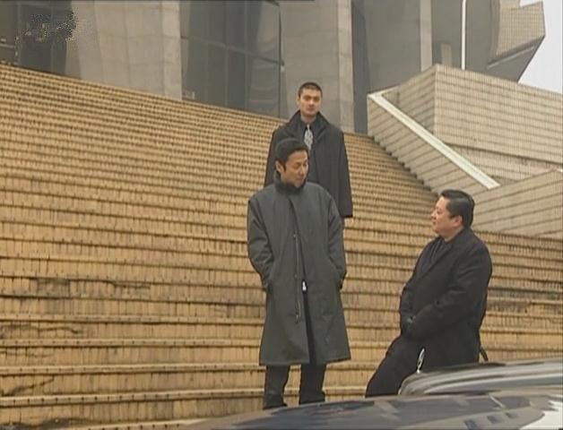 此剧根据安徽阜阳史青峰案改编由陈道明主演