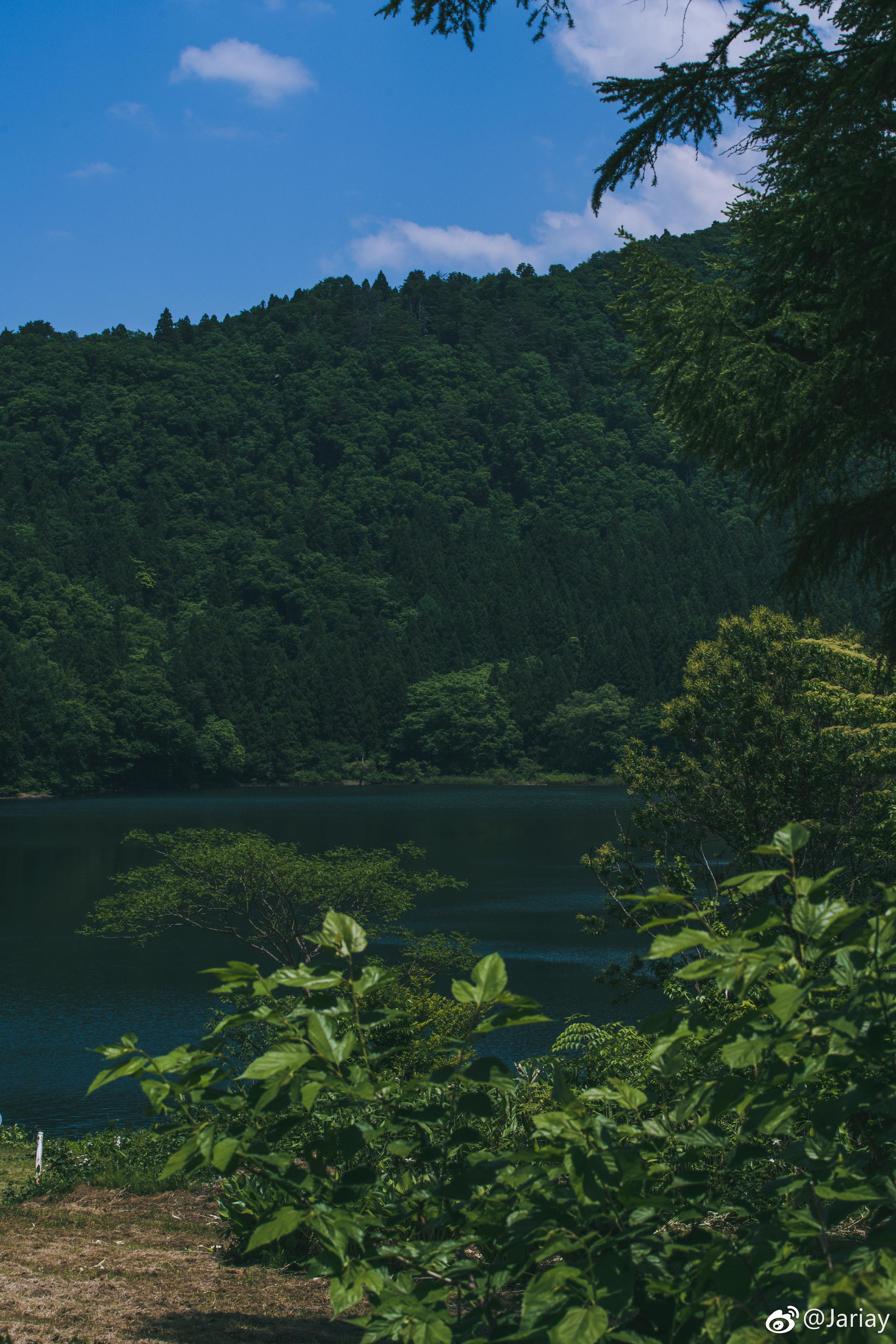 9898长野森林9898|长野|森林|摄影_新浪新闻