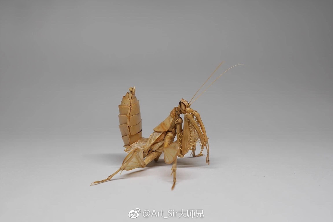 竹虫 |日本艺术家 齋藤 徳幸