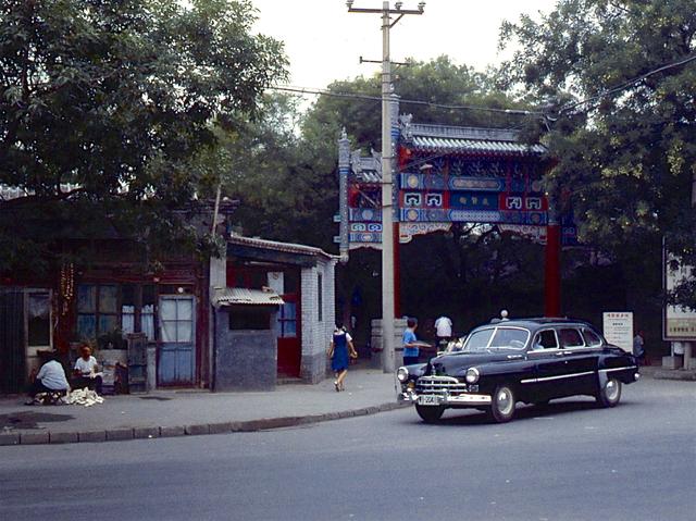 北京旧影1982年老槐树笼罩的房屋街道