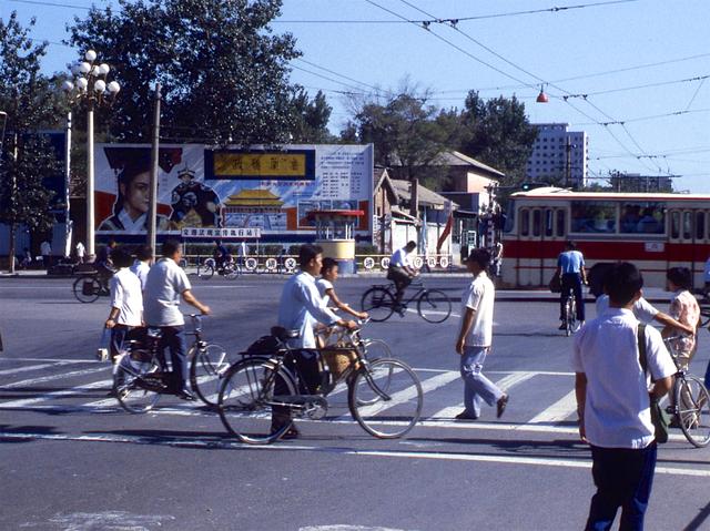 北京旧影1982年老槐树笼罩的房屋街道
