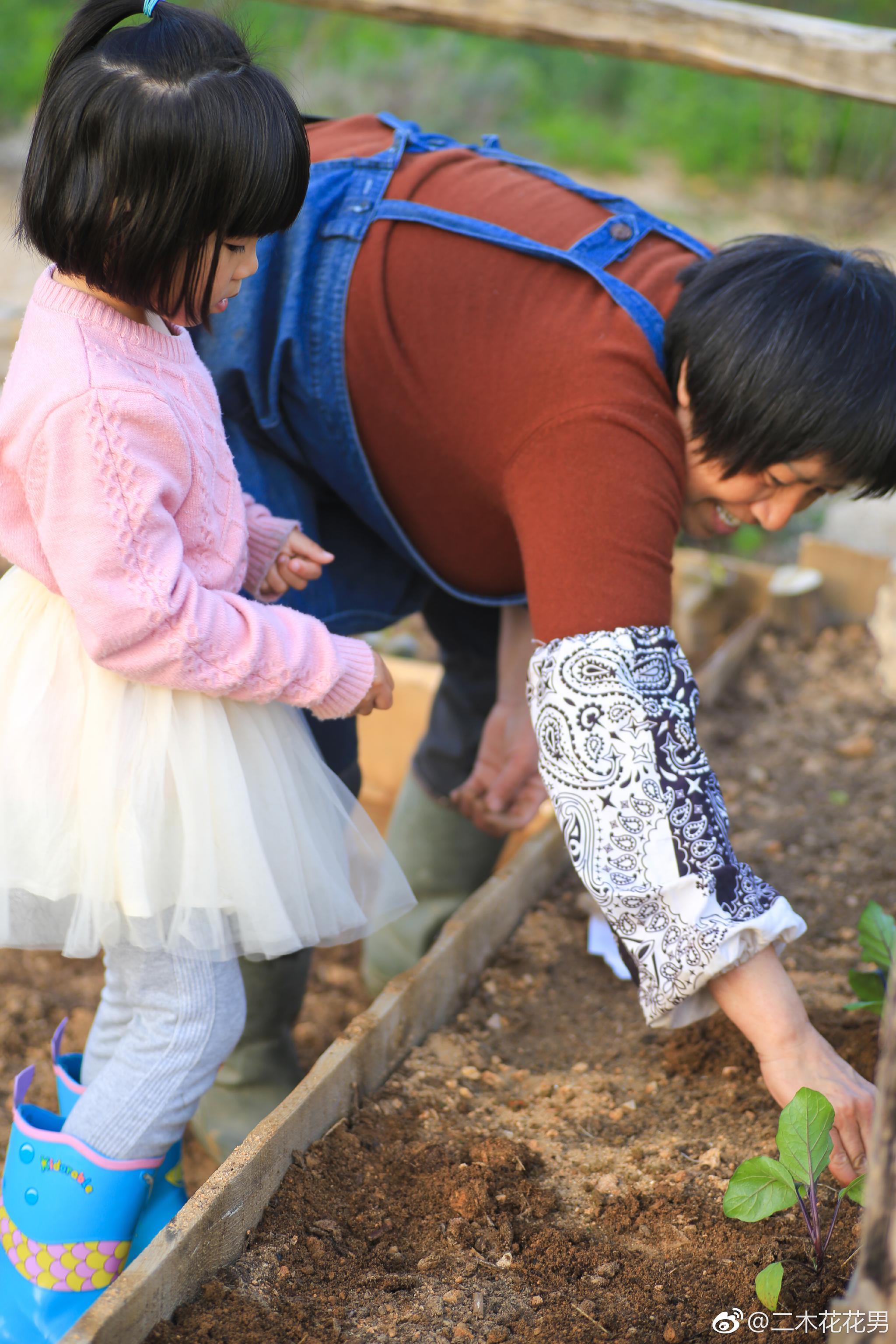 下午回家老妈上山帮忙种菜