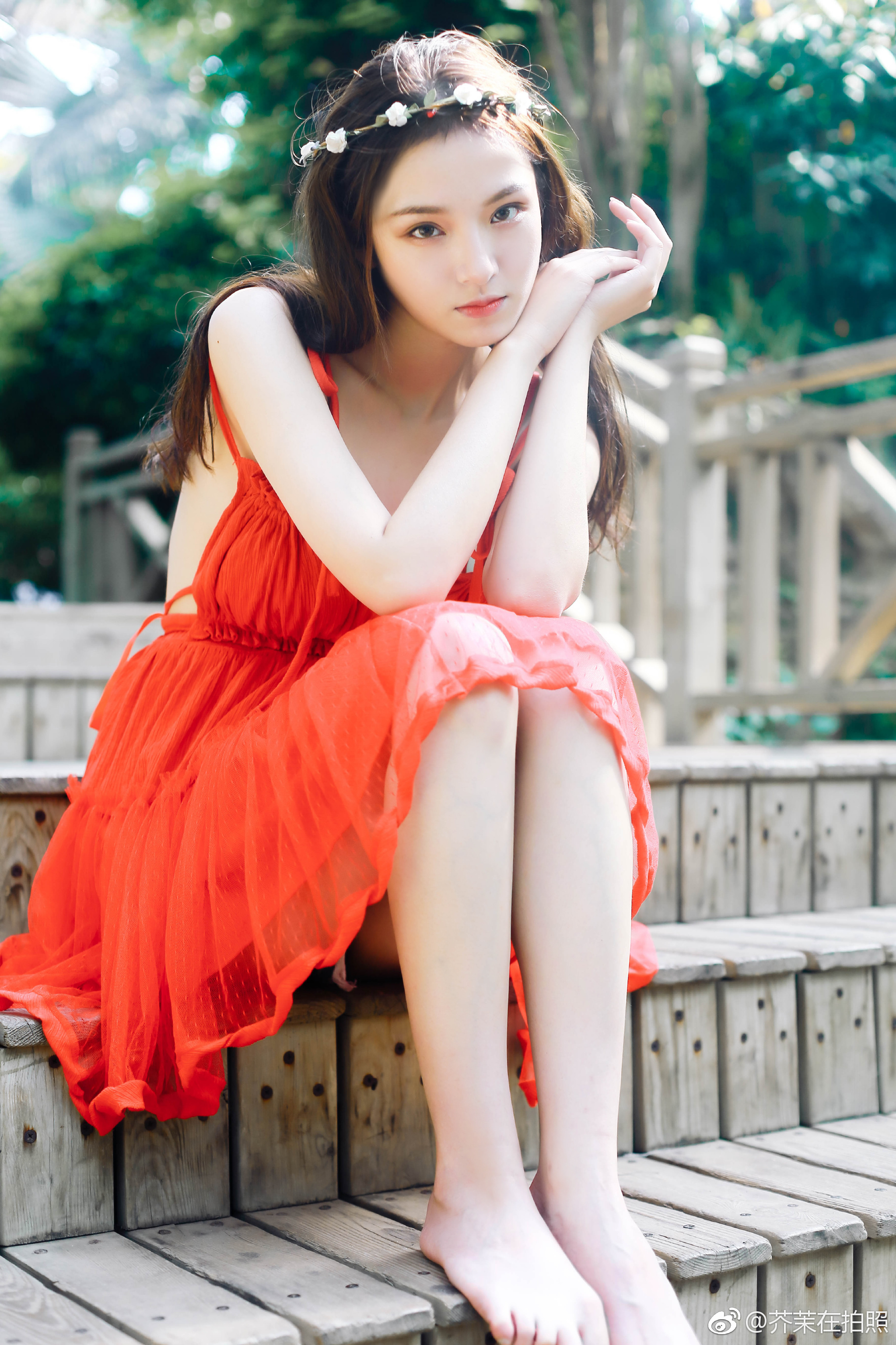 植物园日记| red × white