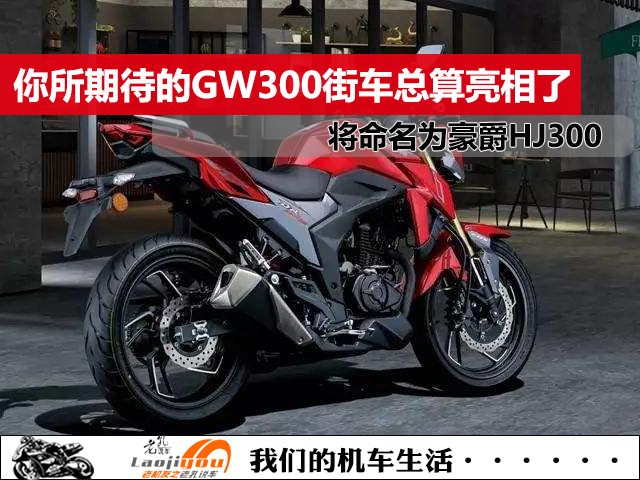 这次gw300街车总算亮相了,命名为豪爵hj300,排量更大车身更轻