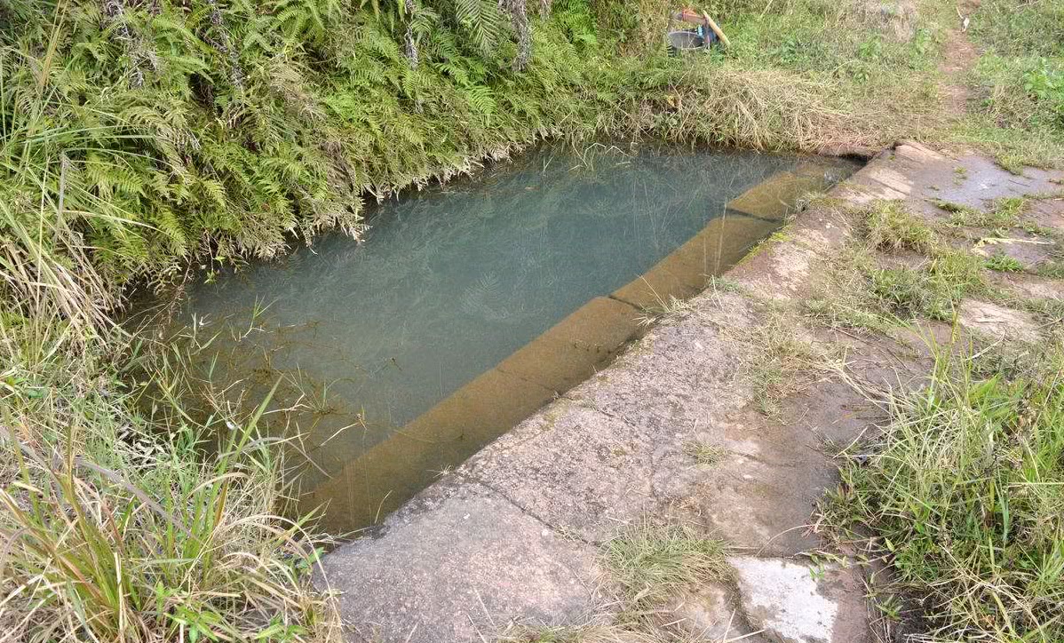 农村水沟里的2种宝贝,如今几乎找不到了