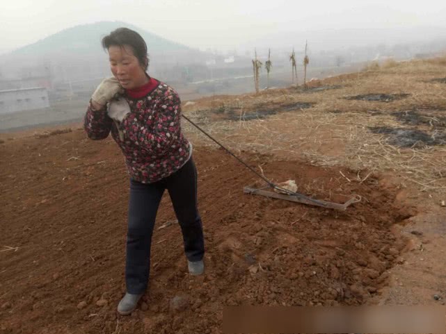 跪在地上干活的农民,被第一张图感动了!