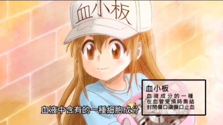 工作细胞 再一次被血小板戳爆了萌点啊,太可爱了!