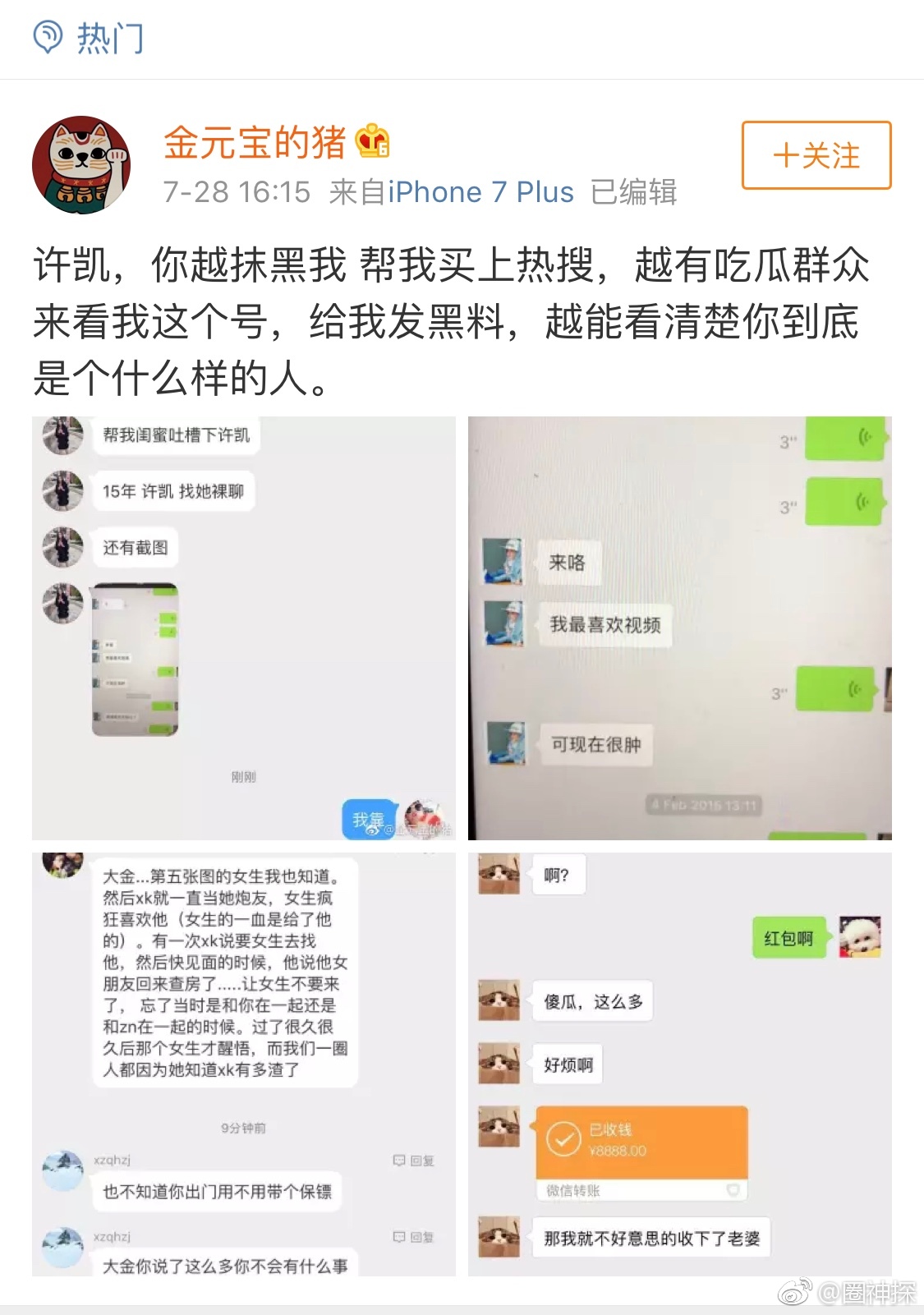 许凯大金的事,还有后续.金元宝的猪