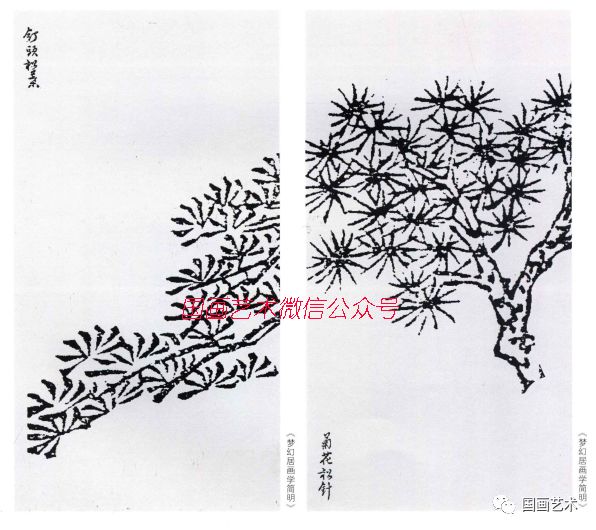 图文教程：松树的画法解析|松针|松树|松干_新浪新闻