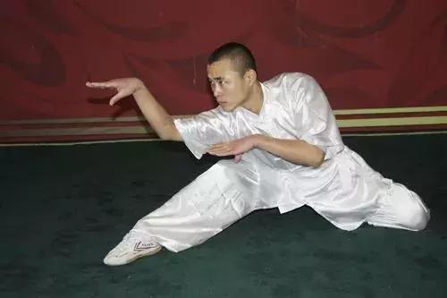 "狗拳"入非遗却难寻传人:名字不好听,传承者望而却步|武德|武术|一个