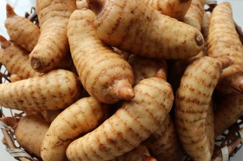 这种长的很想土豆的药材,小时候经常拿来蒸蛋,如今价格高到离谱|天麻