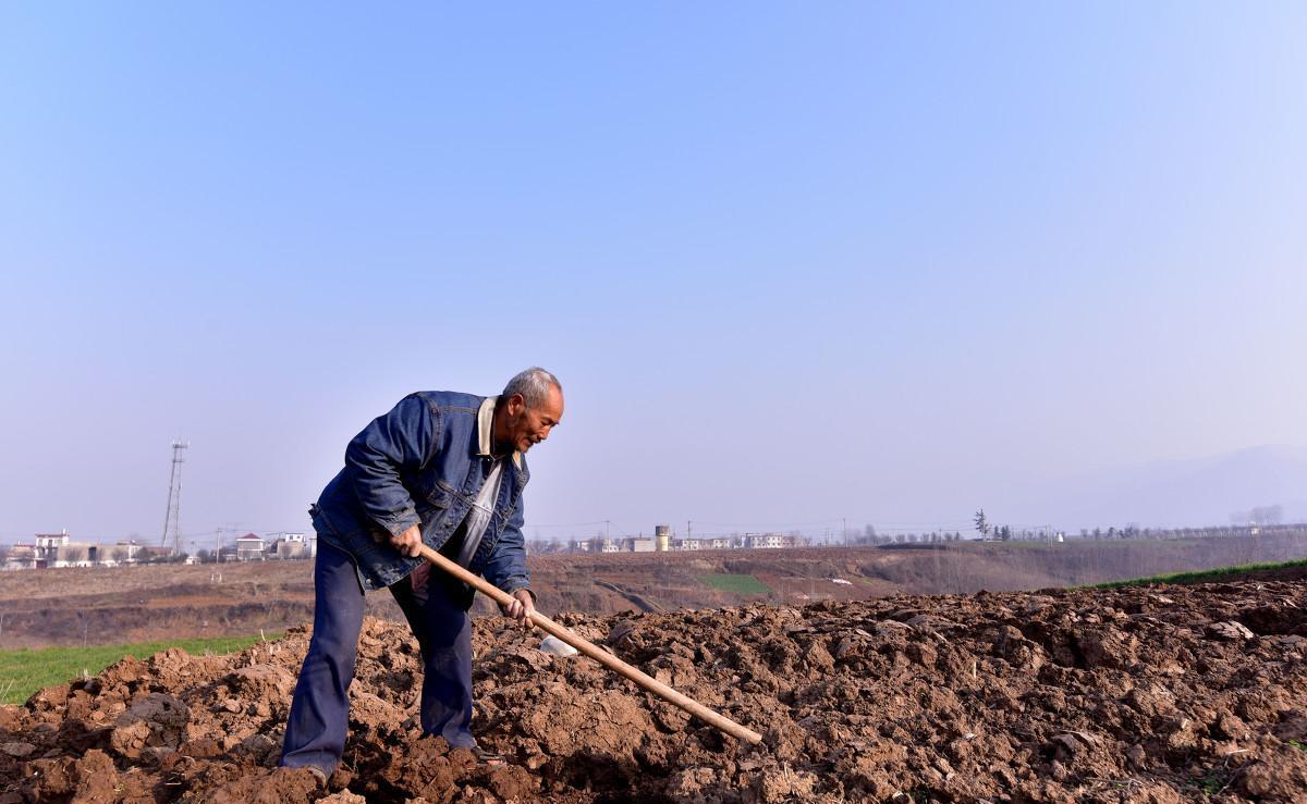 管理逐渐严格,同时我国正在促进农村的土地流转,提高农村土地的利用率