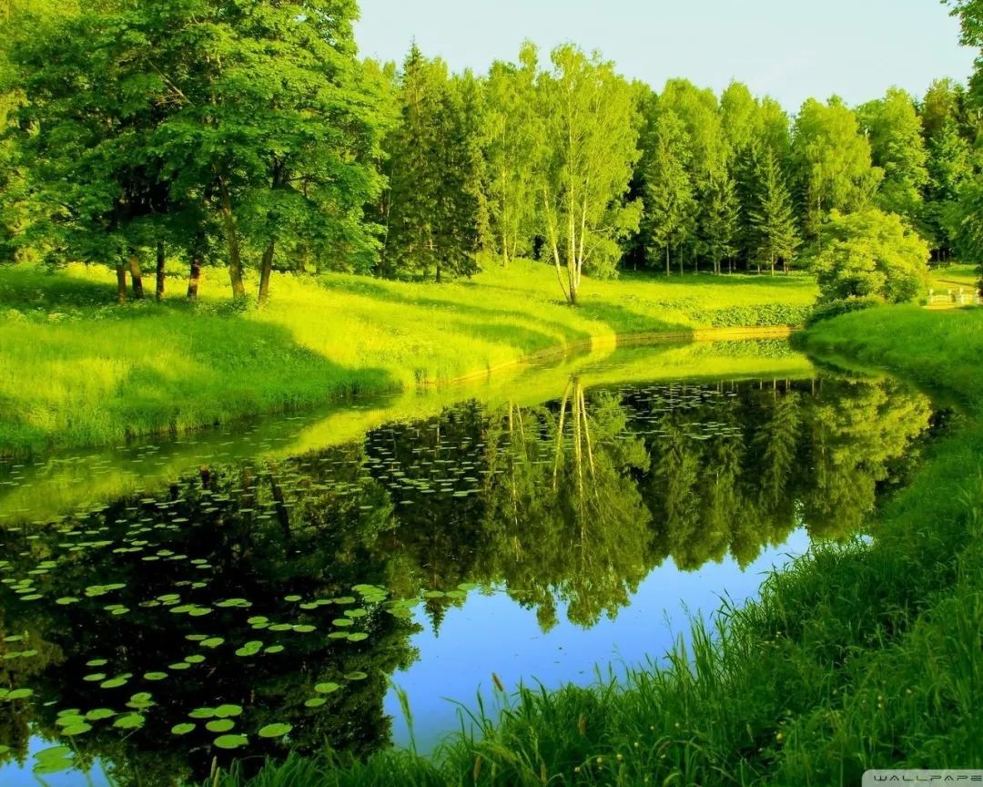 温馨提示:art艺术共赏转载发布内容如有侵权,请后台联系我们,我们会在