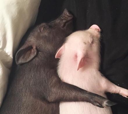 让你感动的,永远是那个人,而不是那件事