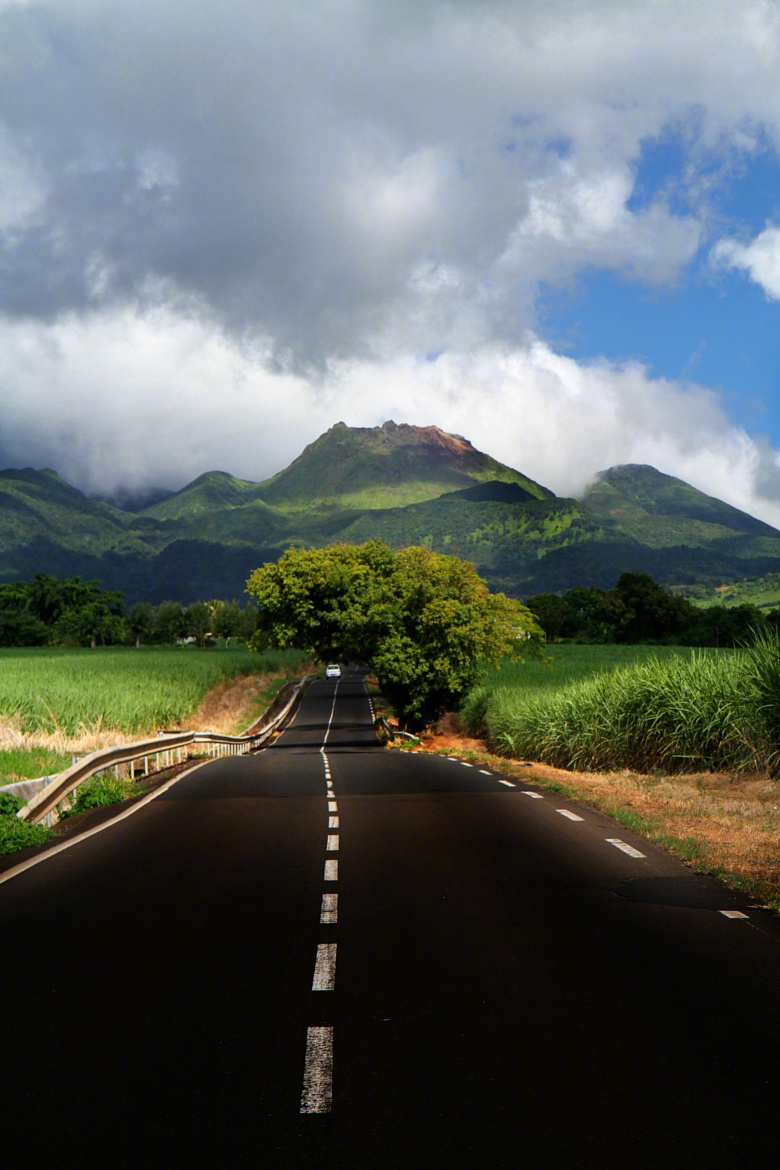 相遇的故事是转经筒上的缘绽一眸相知如画走过季节花开花谢