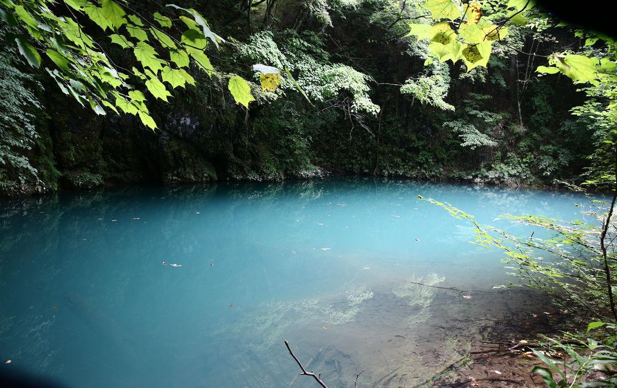 九十九龙潭, 鲜少有游客进入这里, 水光潋滟, 透明澄澈, 纤尘不染