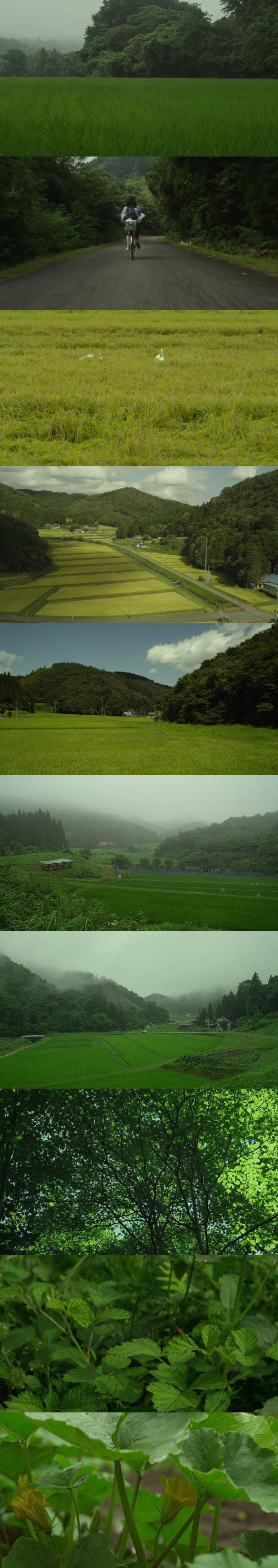 小森林|小森林|生活|日子_新浪新闻