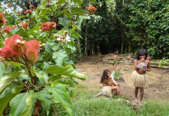 这片雨林中虽然是动植物的天下,但还是生活着不少的原始部落的,这些
