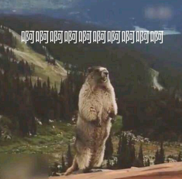 we取得夏季赛首胜依然被喷女粉丝全程土拨鼠叫惹网友厌烦