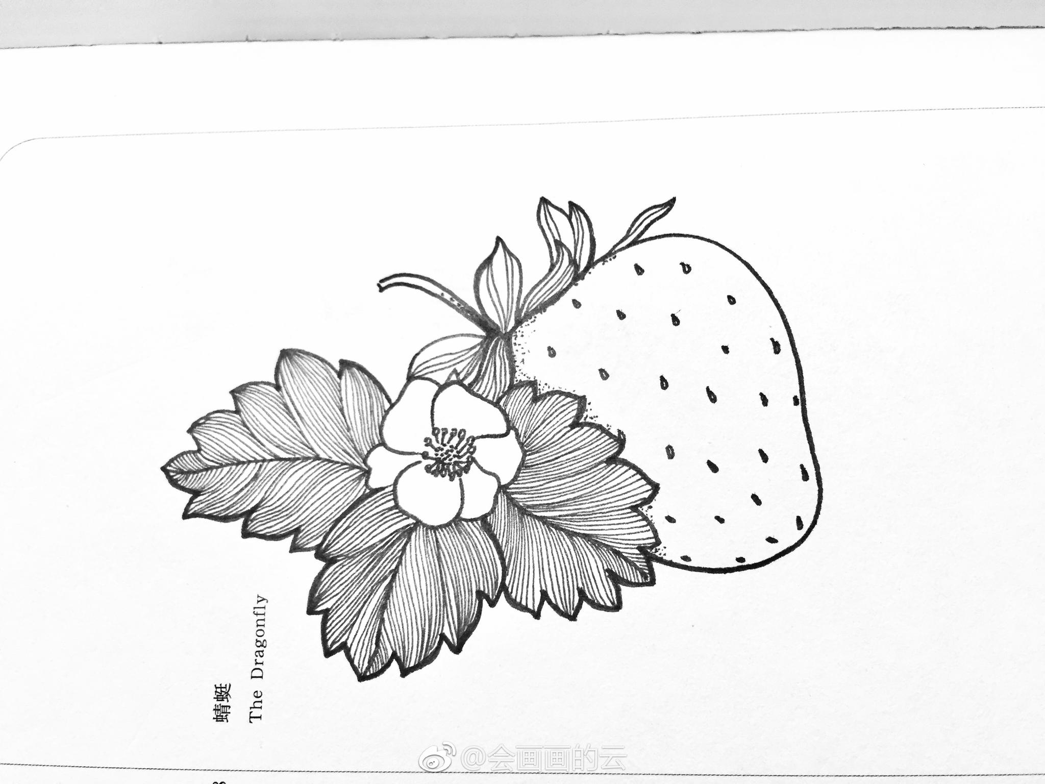 近期线条手绘小集作者