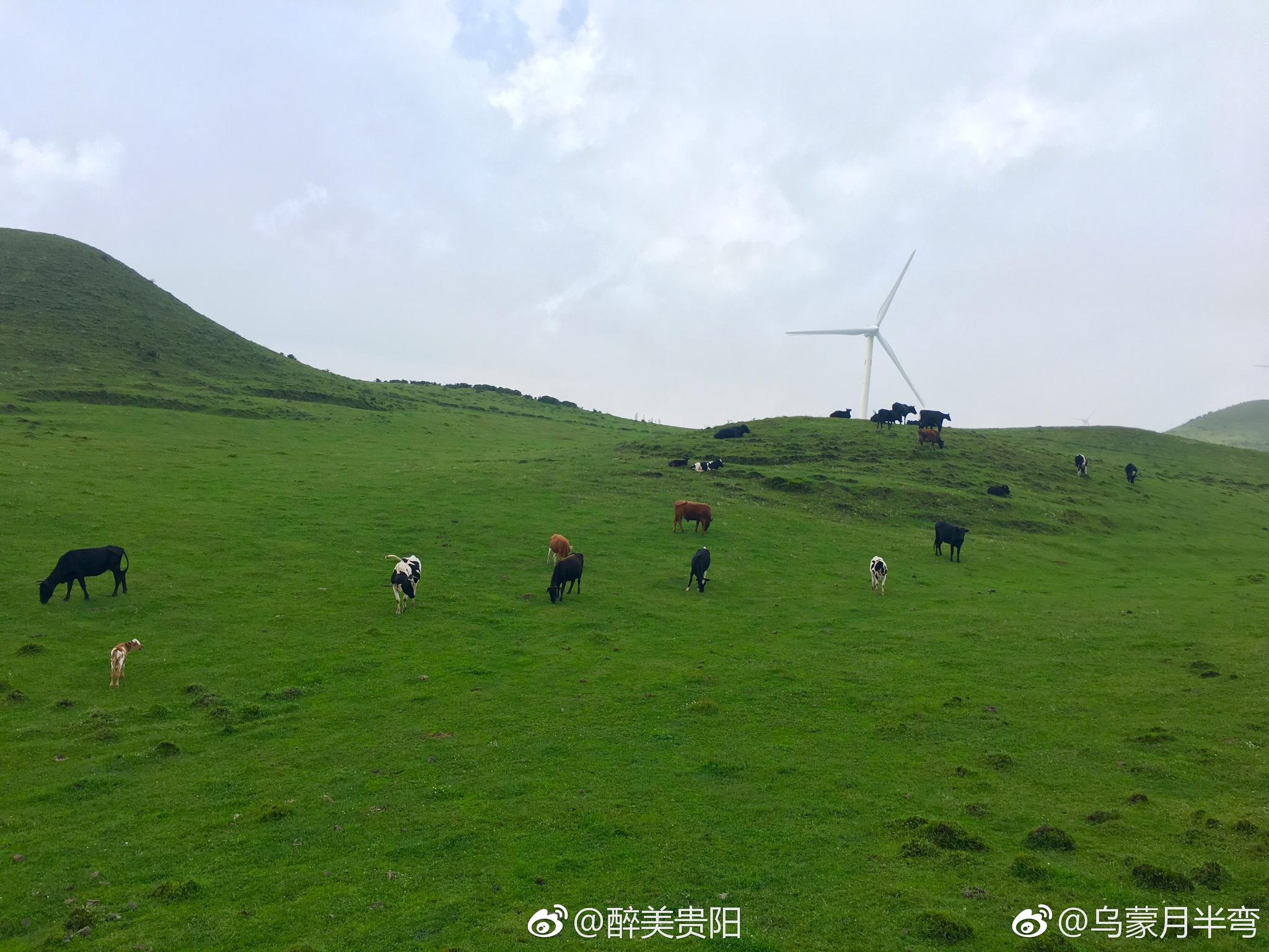 详细阅读:「贵州乌蒙大草原旅游开发投资有限公司」_贵州乌蒙大草原旅游开发投资有限公司招聘 「贵州乌蒙大草原旅游开发投资有限公司」_贵州乌蒙大草原旅游开发投资有限公司招聘