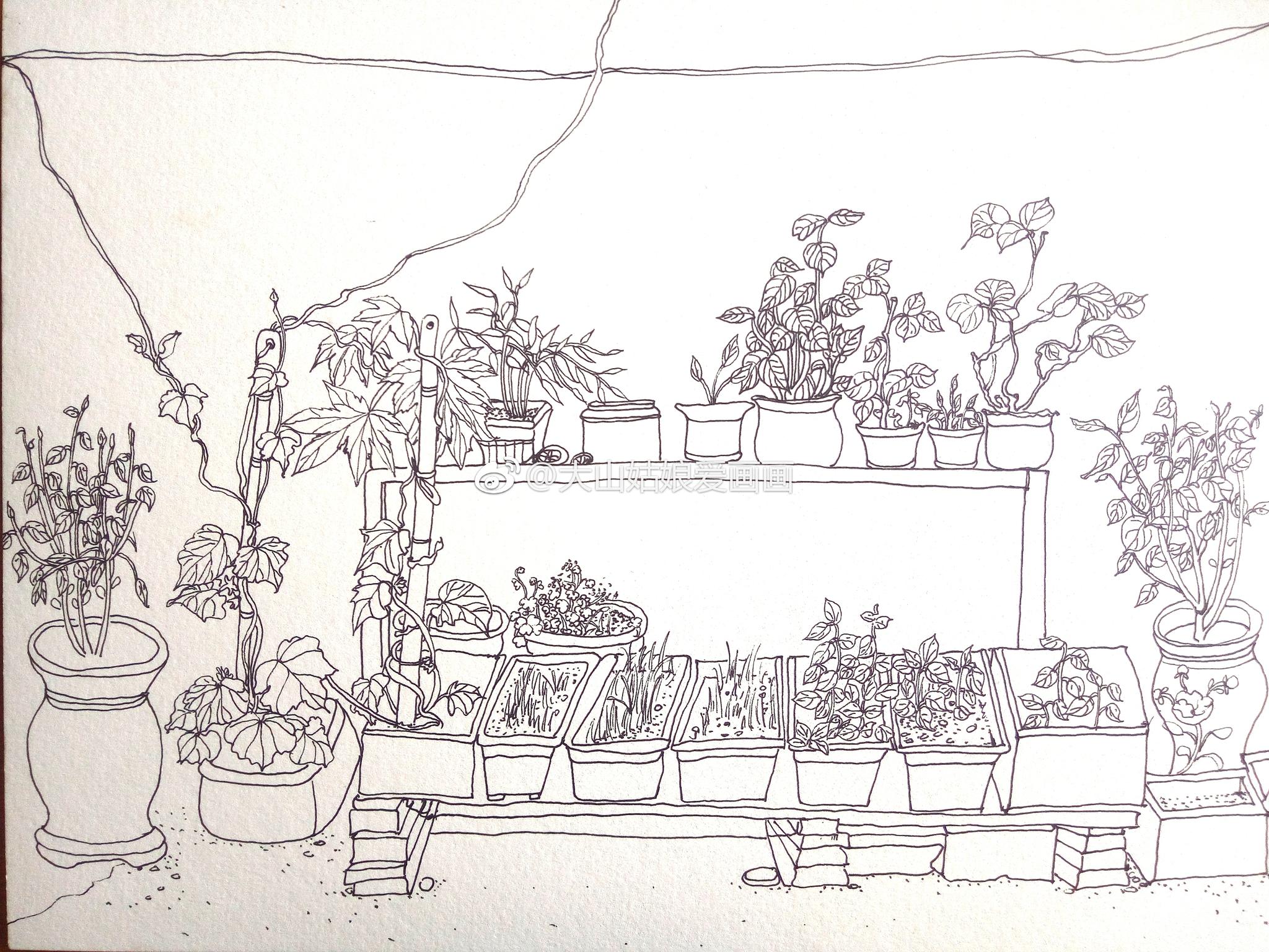 水彩速写老房子楼下的菜园投稿大山姑娘爱画画