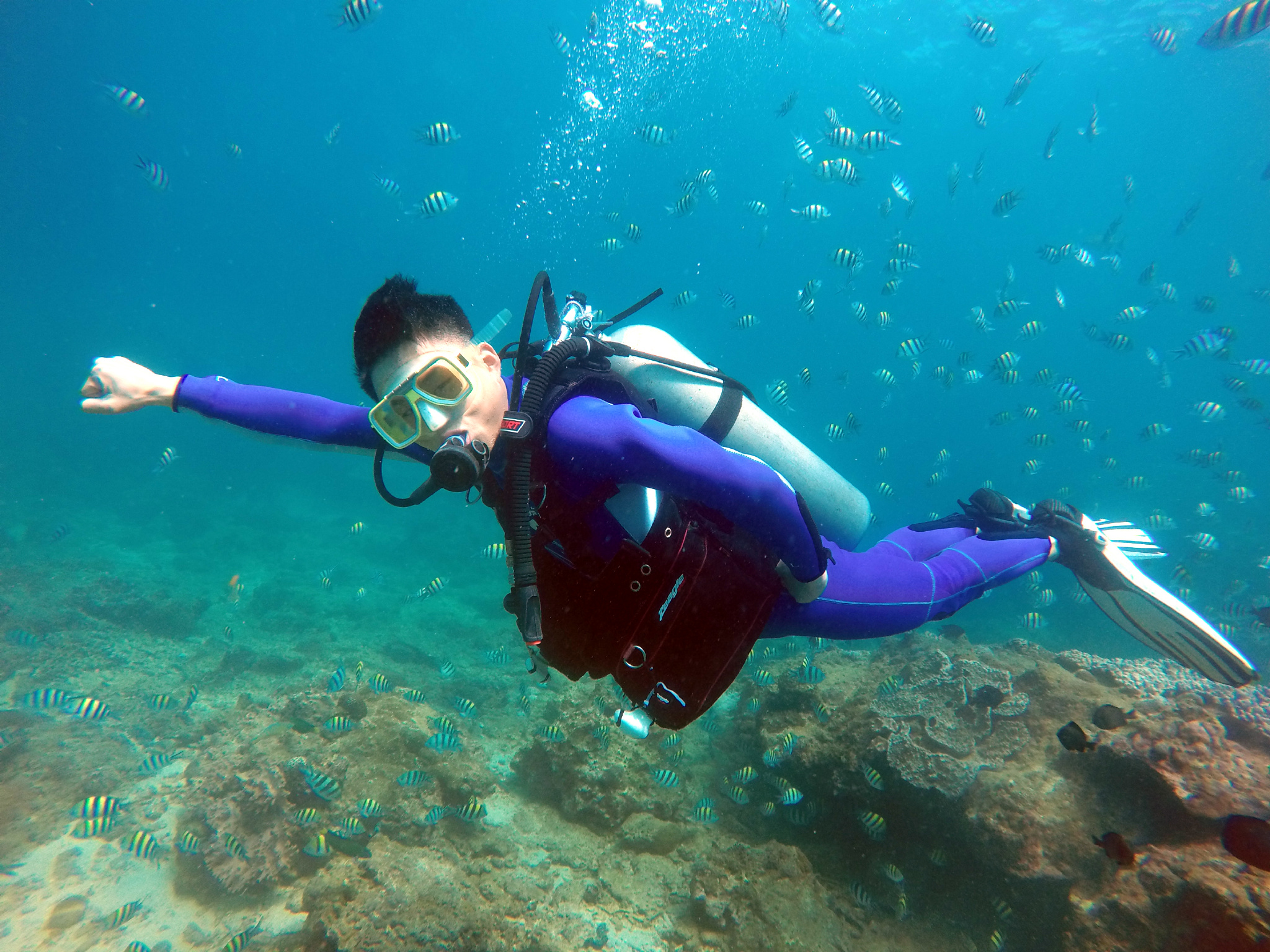 来蜈支洲我最喜欢的项目推荐:①潜水,可根据自己的实力来决定潜入海底