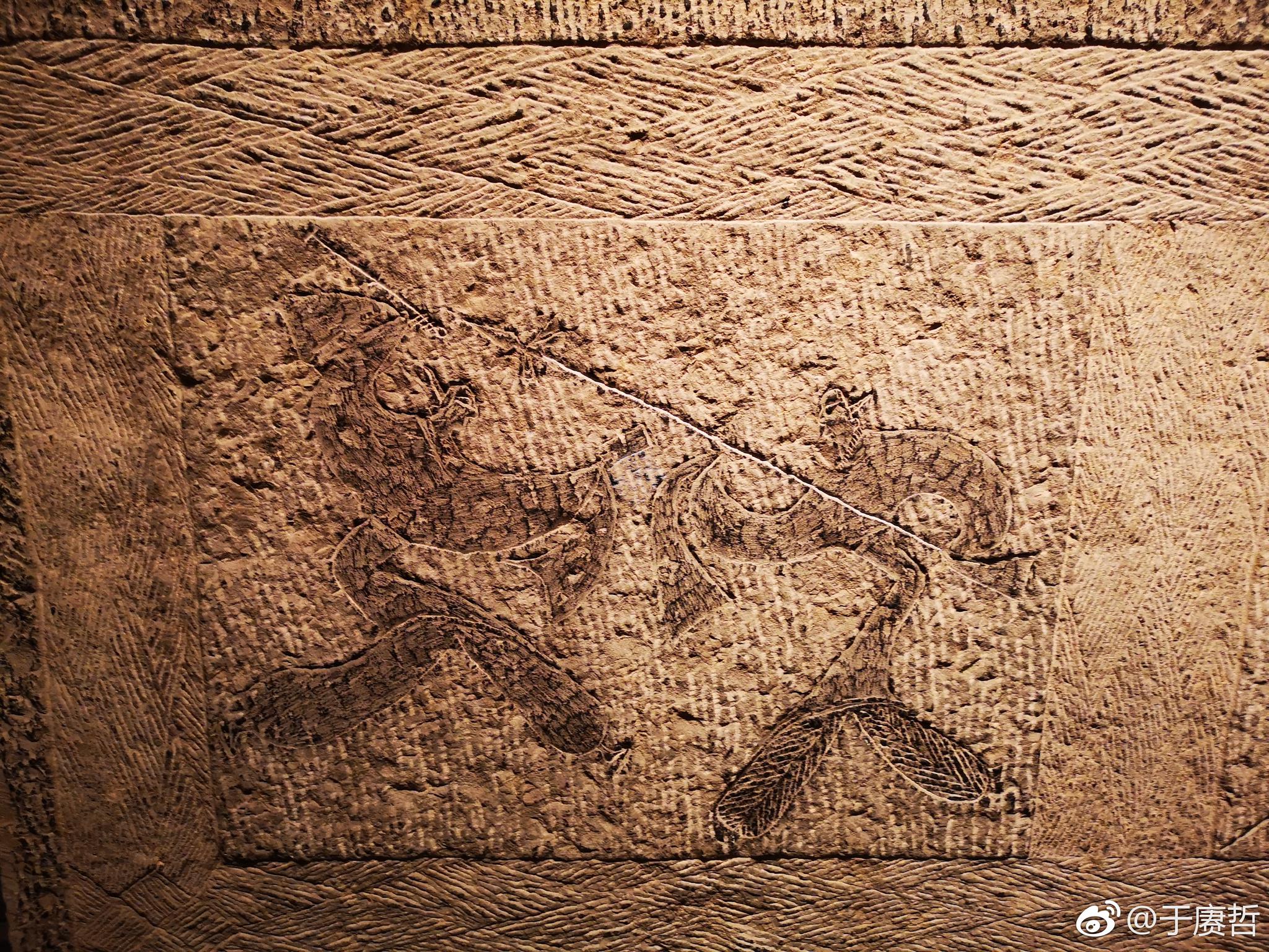 山东博物馆藏汉代画像石上有很多胡汉交战的内容