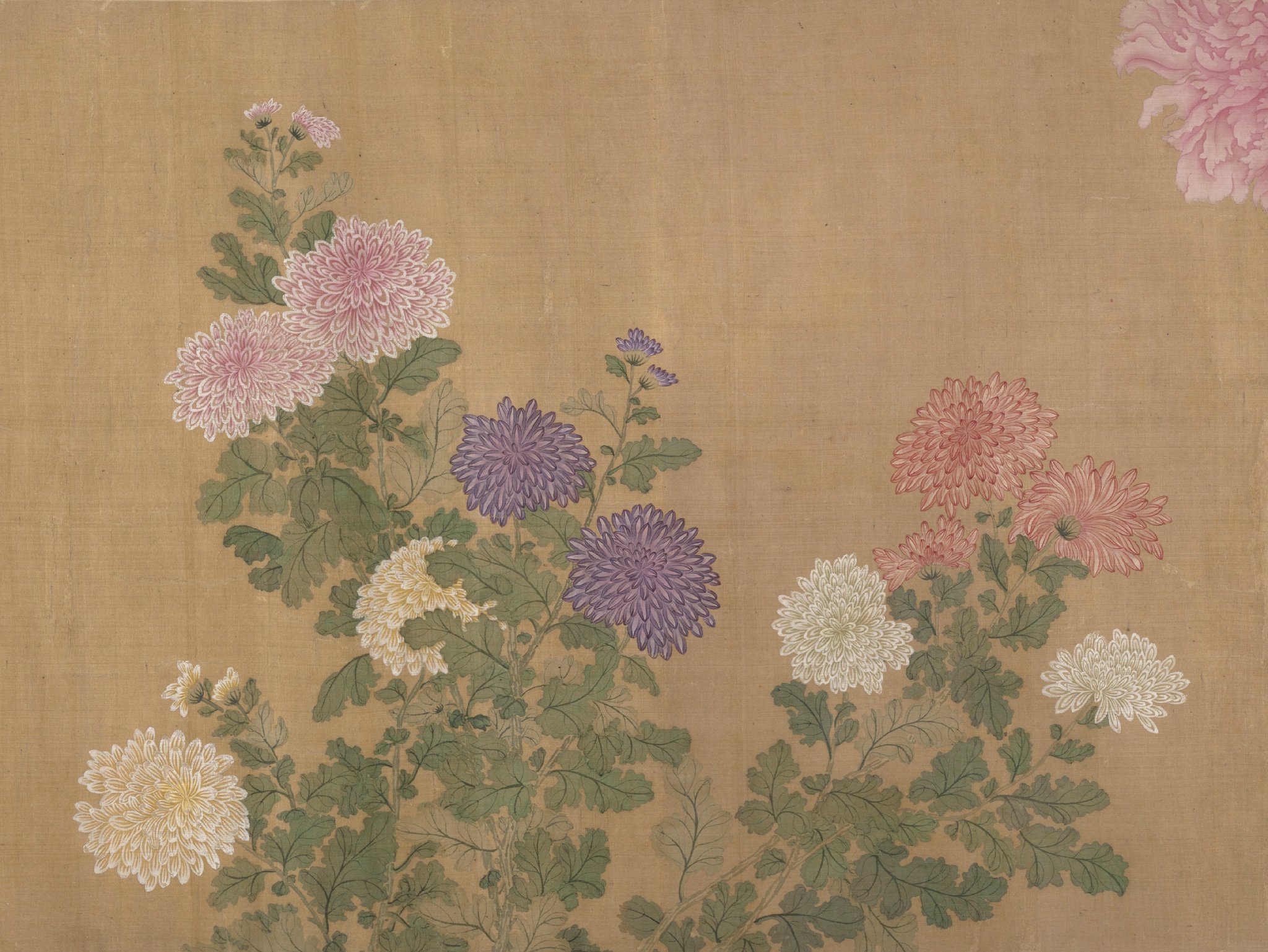 恽寿平 · 没骨画精品《百花图卷》美国大都会博物馆藏,高清大图