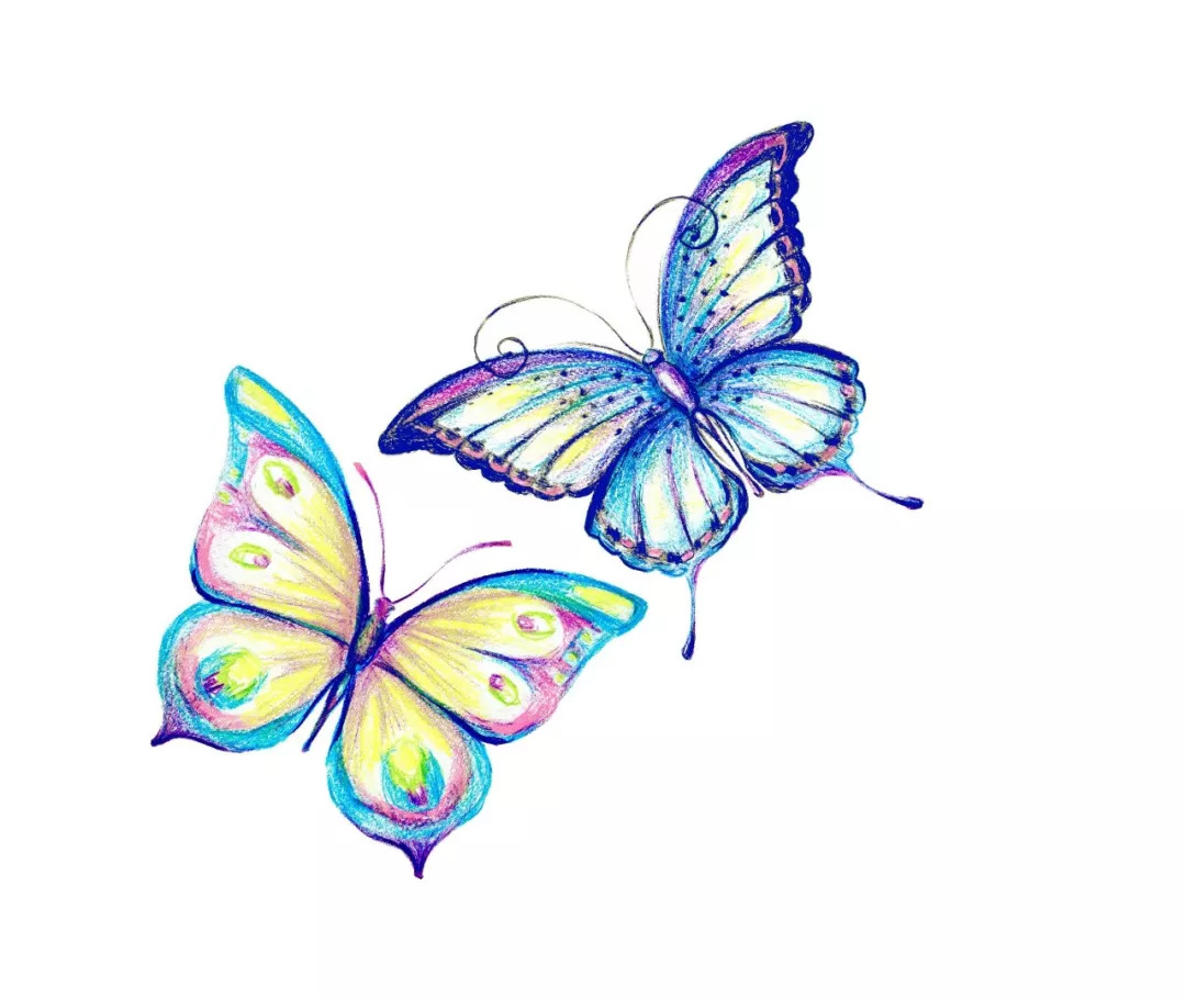 趣味测试哪两只蝴蝶会成为情侣测你和喜欢的人在一起几率多大