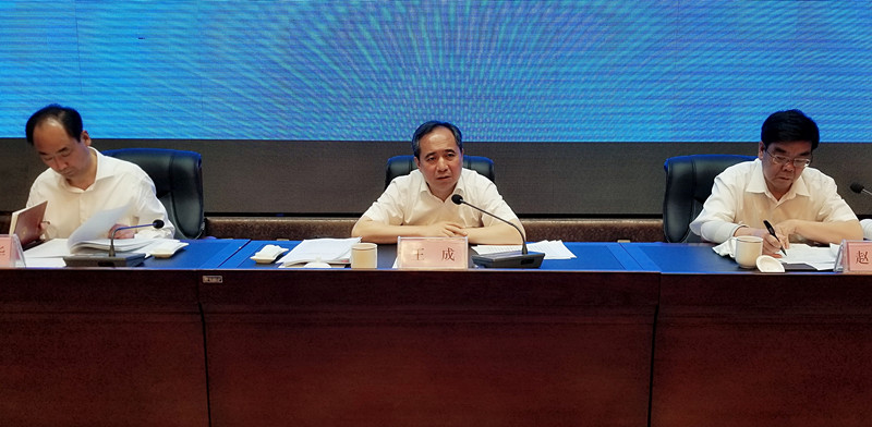 王成强调打胜打好城乡人居环境大整治攻坚战