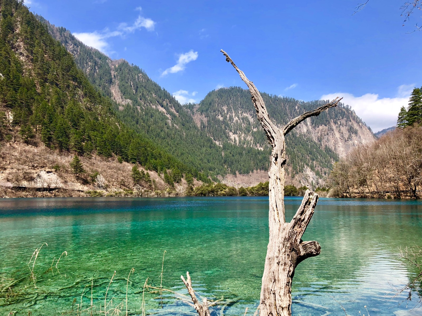 九寨沟地震后重新开放,手机实拍美景,但有几点游客注意事项