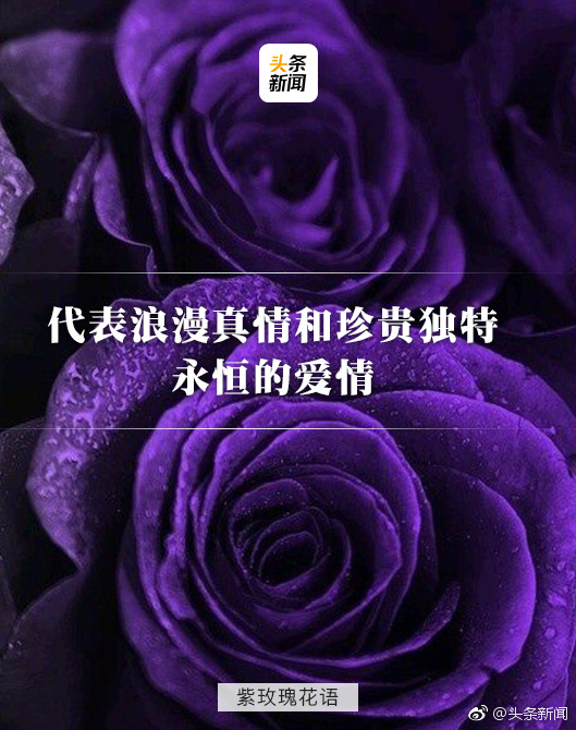 每一种花都有它的花语,花语代表着送花者的祝福.