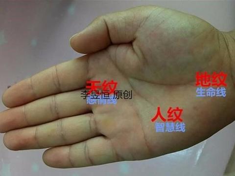 手相中生命线的解释(之三):双重生命线具有逢凶化吉的功能!|生命线|手相|大灾|大病|切线_新浪新闻