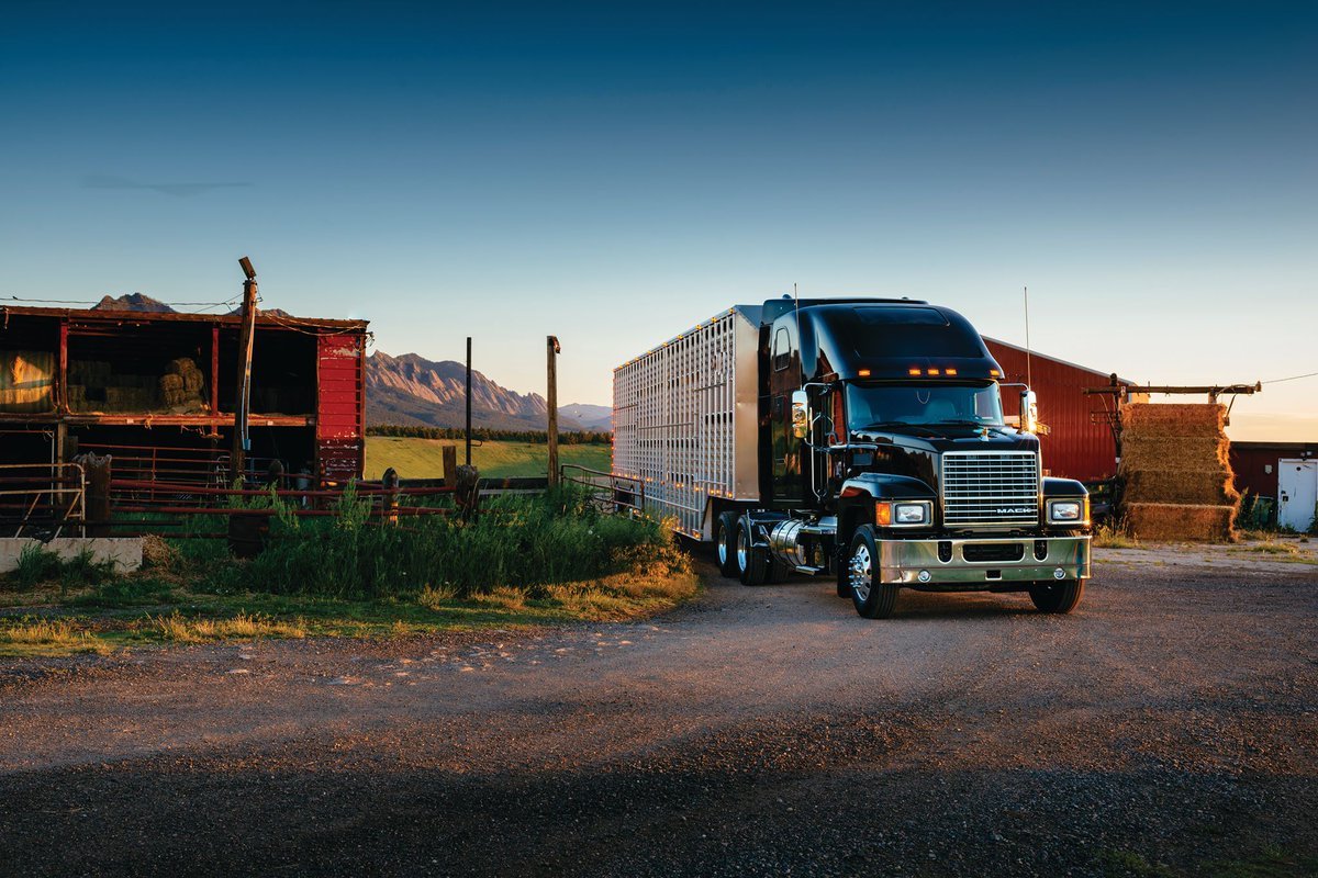 纽约斗牛犬:美国mack卡车品鉴