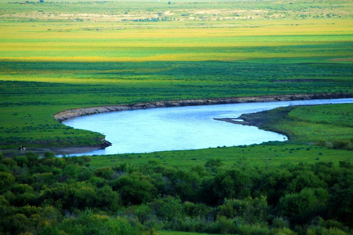 巴彦呼硕草原,位于鄂温克族自治旗境内