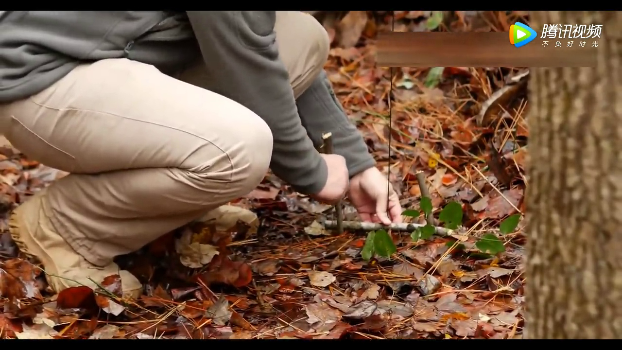 制造踏板吊脚套陷阱,简单实用效果好