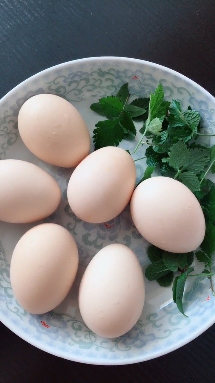 煮鸡蛋要有仪式感!
