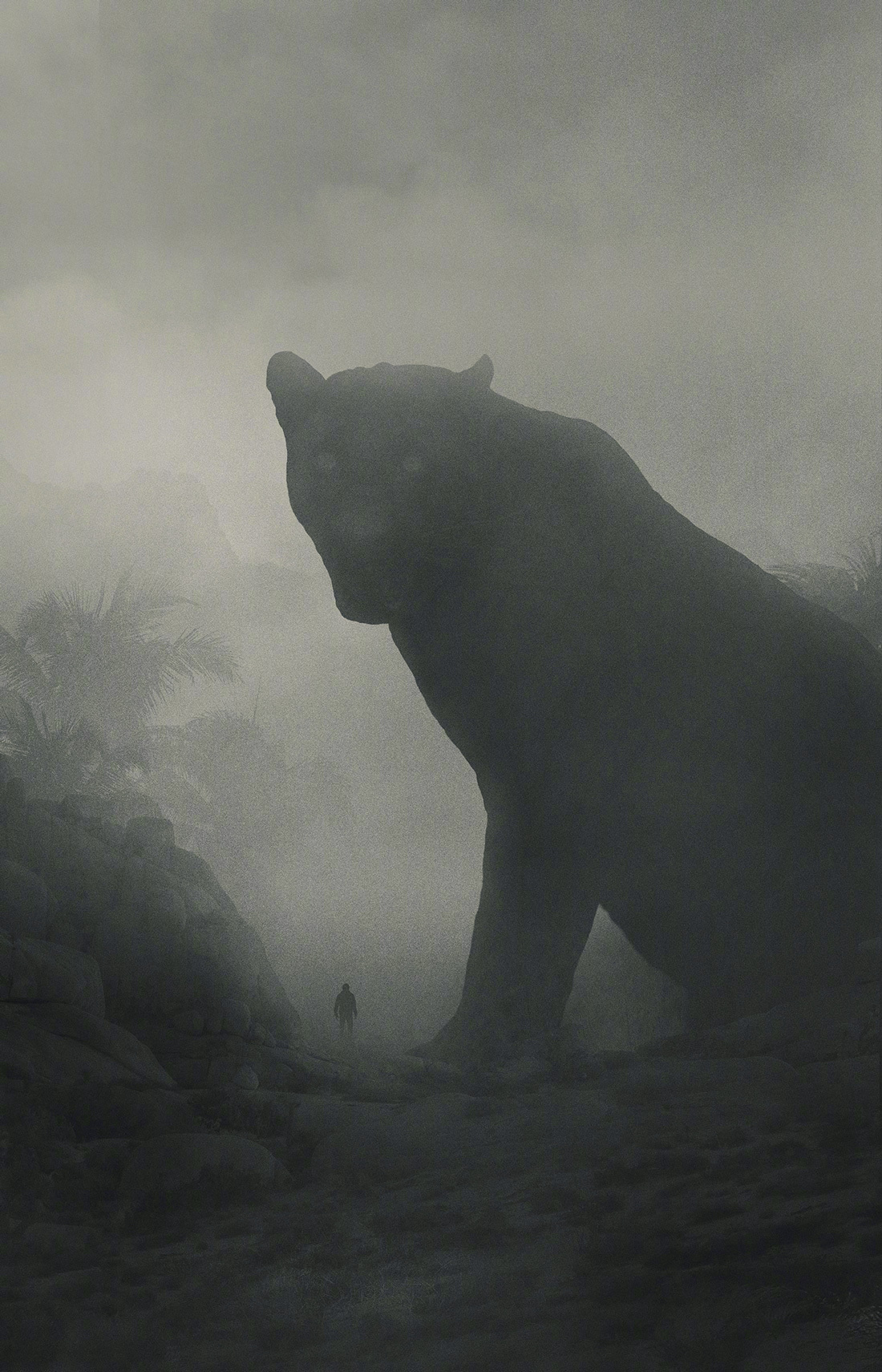 神秘的暗黑丛林,艺术家 dawid planeta