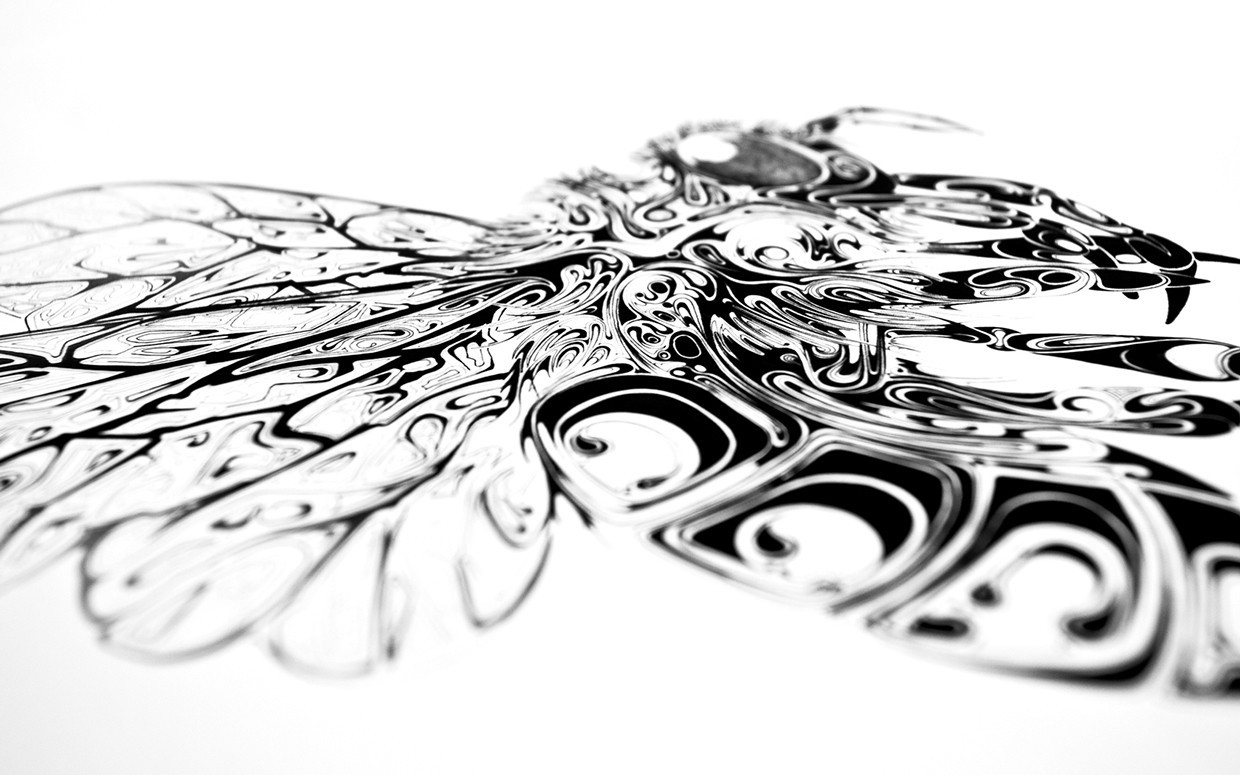 超细腻生动的笔触描绘的昆虫英国平面插画师siscott