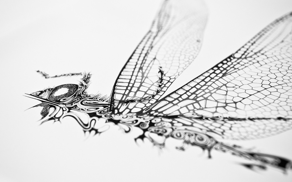 超细腻生动的笔触描绘的昆虫英国平面插画师siscott