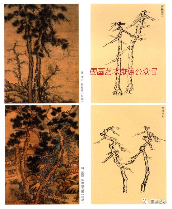 图文教程：松树的画法解析|松针|松树|松干_新浪新闻