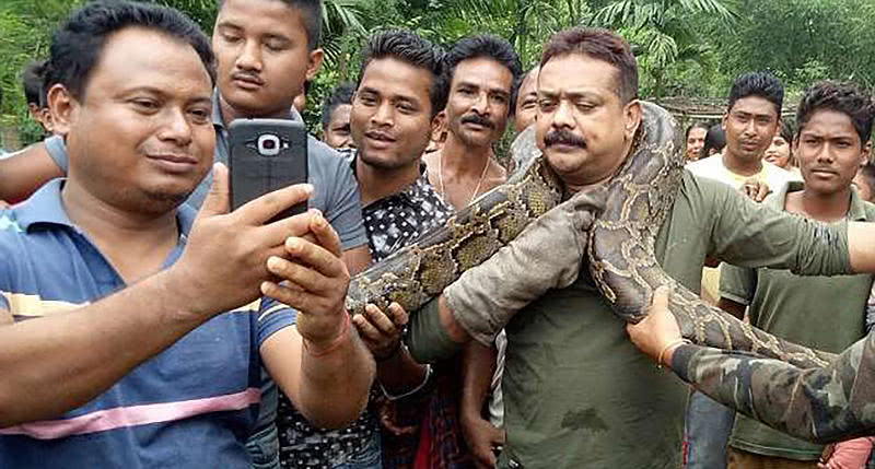 救了条大蟒蛇,搭在脖子上炫耀拍照,没想到蛇突然饿了