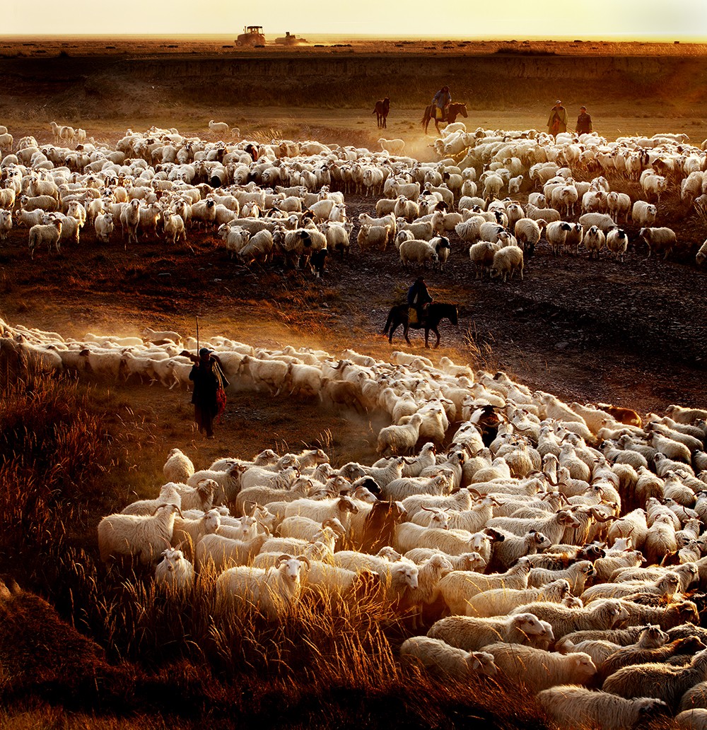 山丹县关键词seo排名优化