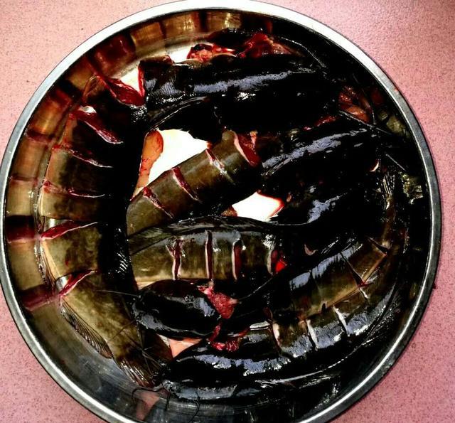 中国罗定泷邑美食清蒸本地塘鲺鱼